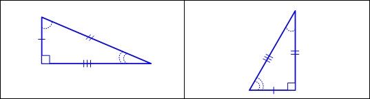 4.6D6.jpg